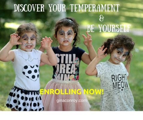 Discover Your Temperament Class